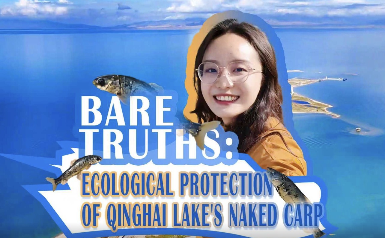 Bare truths: Ecological protection of Qinghai Lake's naked carp