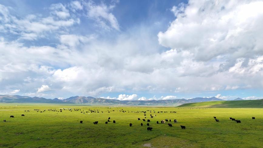 Serene, soul-soothing autumn views of Qilian Mountains in NW China's Qinghai