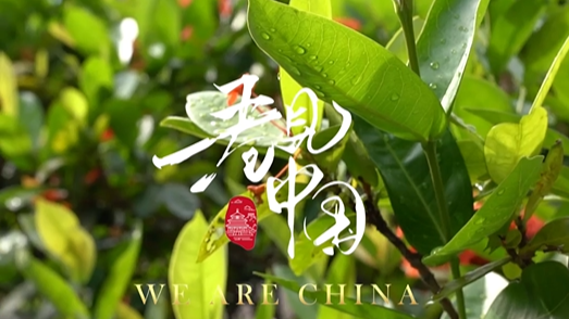 Shenzhen's Qianhai nurtures cutting-edge technology companies