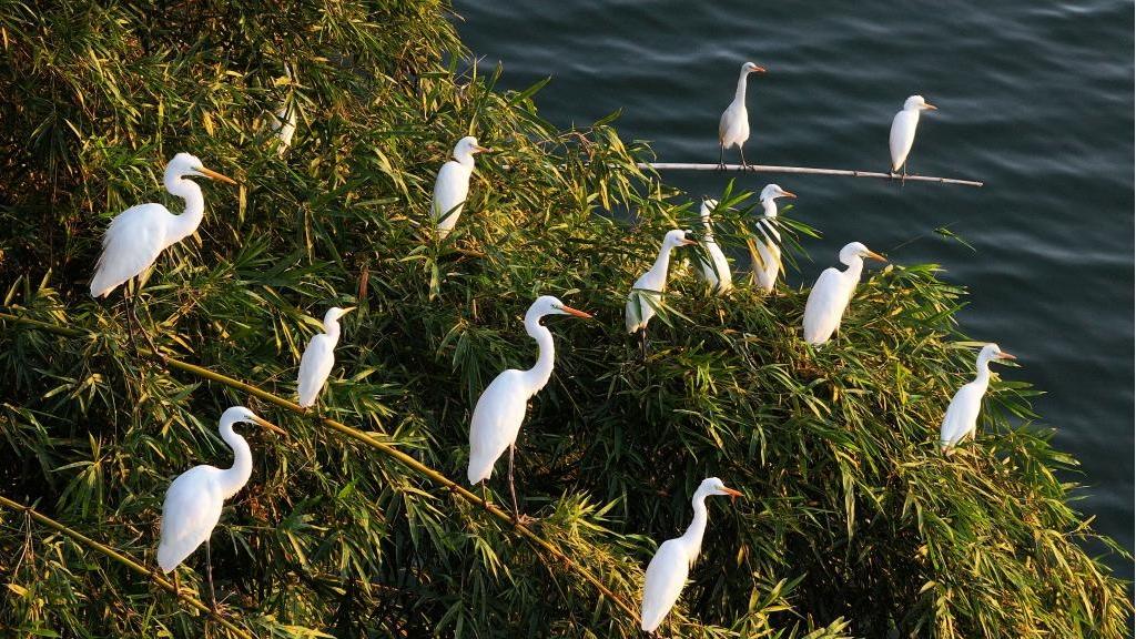 Autumn scenery across China