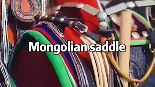 Trending in China | Mongolian saddle