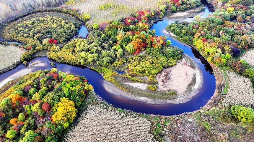 Enchanting autumn scenery in Suihua, NE China's Heilongjiang