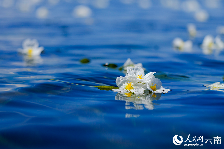 Breathtaking views of Erhai Lake in SW China's Yunnan