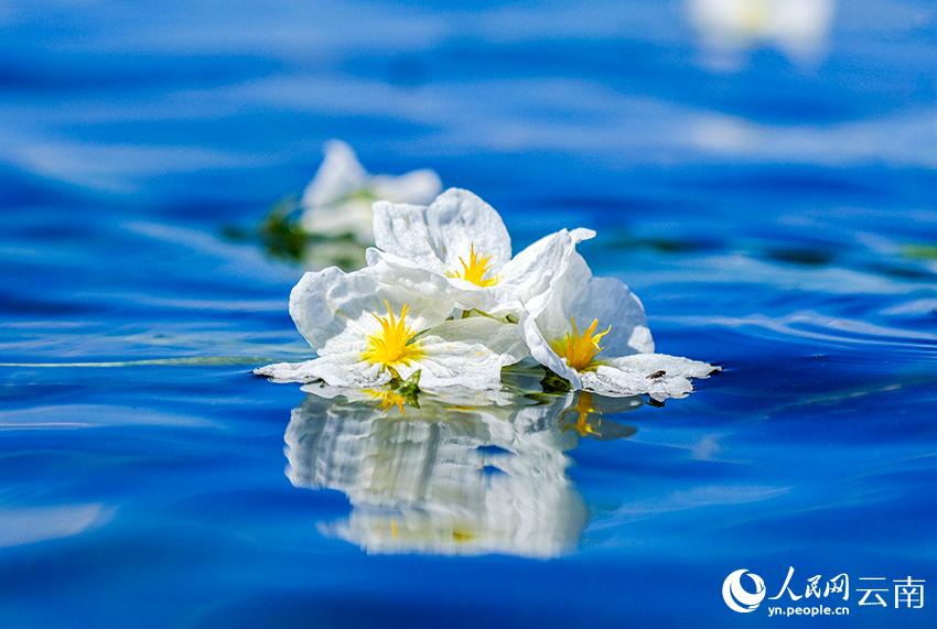 Breathtaking views of Erhai Lake in SW China's Yunnan
