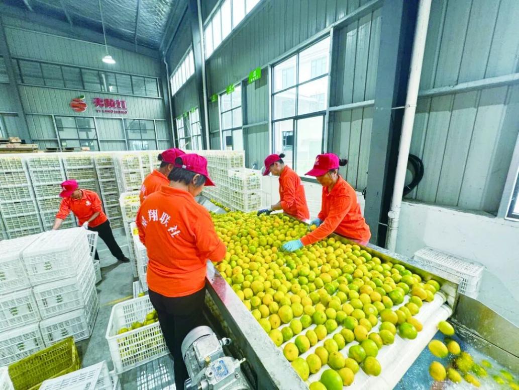 4d20f2b60cfe6f51d95d37fa5a6d7444