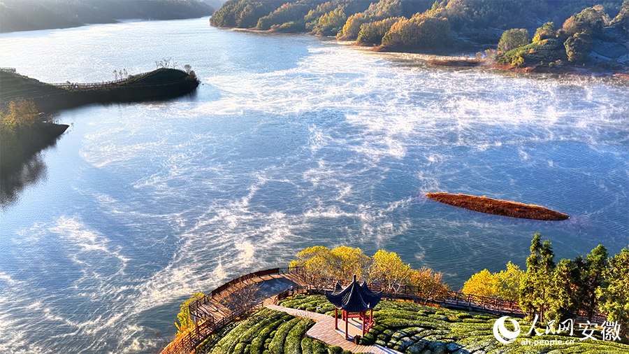 Breathtaking views of tea-themed park shrouded in morning mist in E China's Anhui