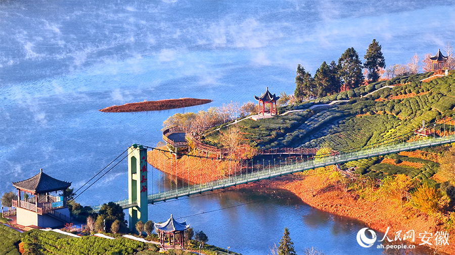 Breathtaking views of tea-themed park shrouded in morning mist in E China's Anhui