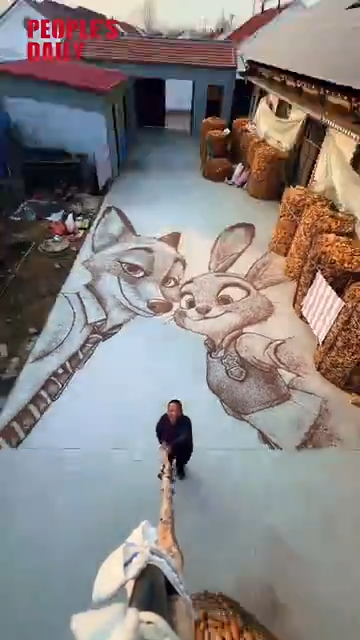 Farmer's giant black wheat Zootopia art goes viral