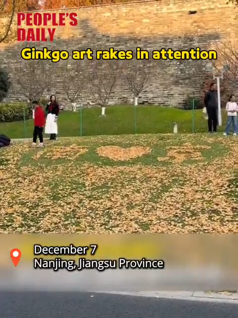 Ginkgo art rakes in attention