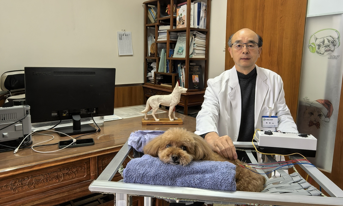 Chen Wu treats a dog with traditional Chinese medicine treatment in the Chongfuxin international animal medicine center in Changping, Beijing, on March 11, 2025. Photo: Courtesy of Chen