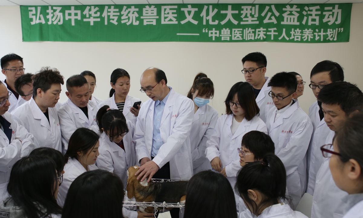 Chen Wu in a public welfare class for the inheritance and development of traditional Chinese veterinary medicine Photo: Courtesy of Chen