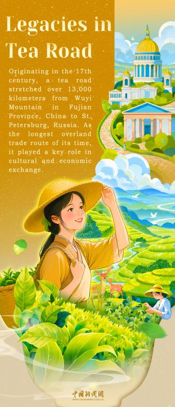 Wuyi Tea: From mountain winds to global brews