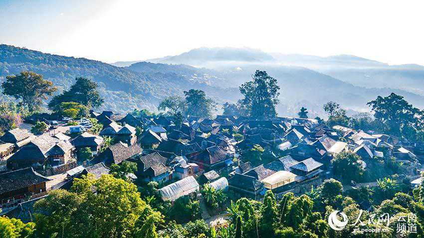景邁山古茶林中的少數(shù)民族傳統(tǒng)村落。人民網(wǎng) 虎遵會(huì)攝