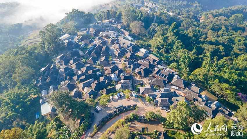 景邁山古茶林中的少數(shù)民族傳統(tǒng)村落。人民網(wǎng) 虎遵會攝